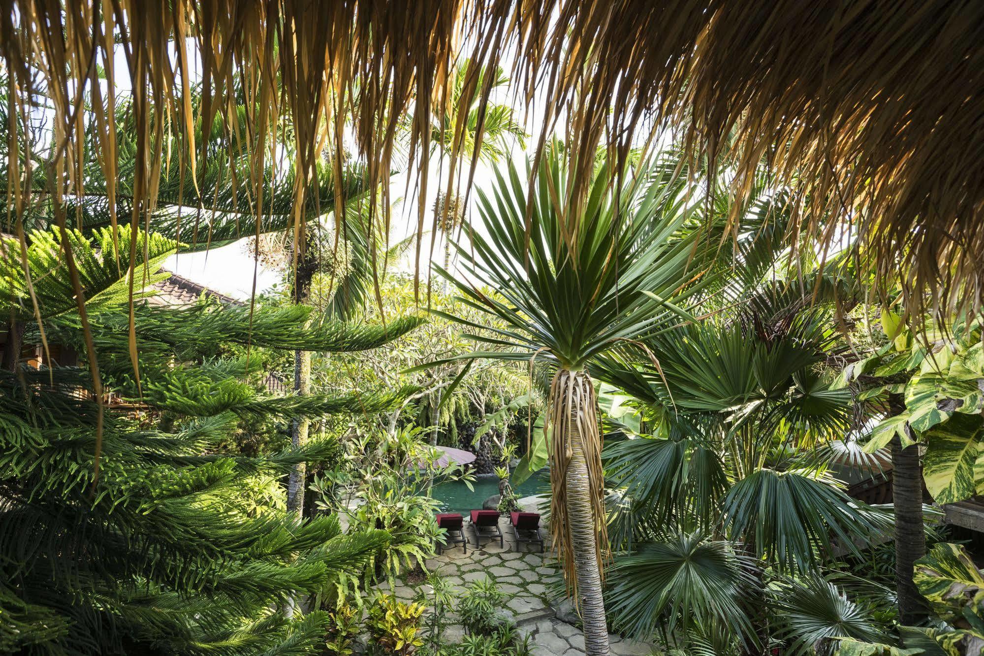 Adi Cottage Ubud  Exterior photo
